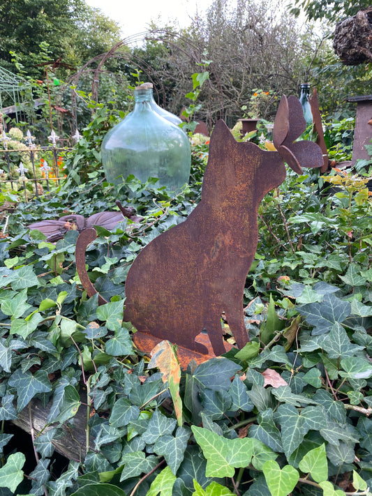 Kat met vlinder op neus op plaat van Ecoroest - Brocante bij Ingie